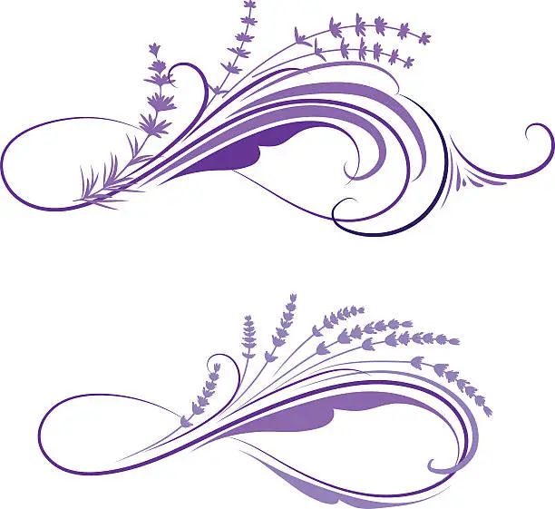 Vector illustration of Lavender ornament