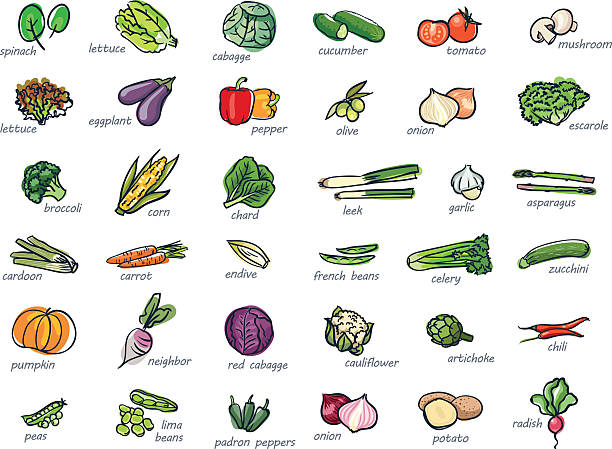 ikona zestaw warzyw - vegetable asparagus cauliflower legume stock illustrations