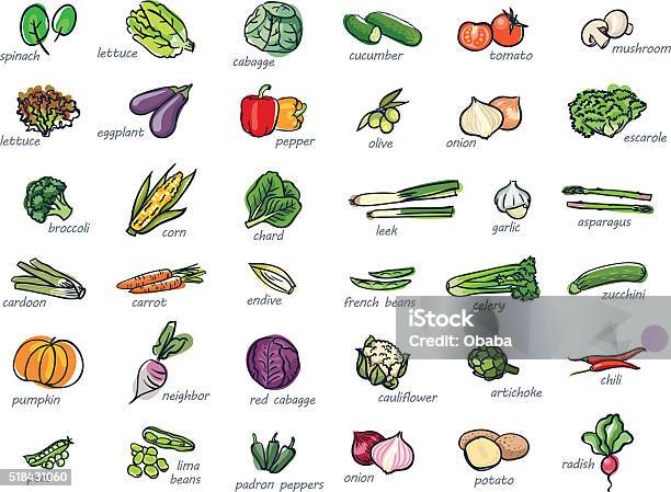 Icon Set Of Vegetables Stock Illustration - Download Image Now - Vegetable, Lettuce, Celery