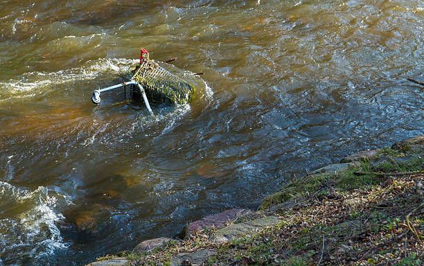 Shopping cart in the Vilnele river .