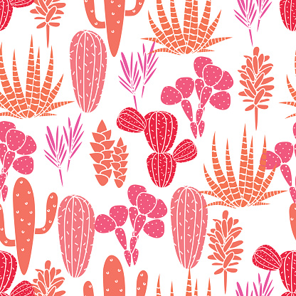 Succulents cacti plant vector seamless pattern. Botanical pink and rose desert flora fabric print. Home garden cartoon cactuses for wallpaper, curtain, tablecloth.
