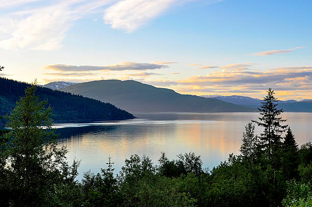 istock Trees on shore of sea bay. 518437846