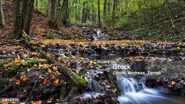 Idyllic Autumn Forrest Stock Photo - Download Image Now - Autumn, Bavaria, Beauty