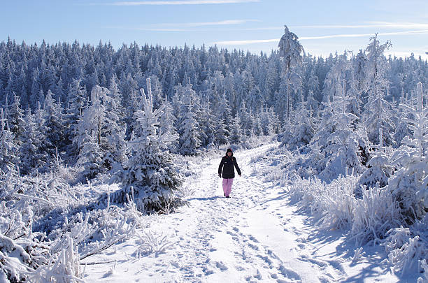 istock Winter landscape with woman 518456369