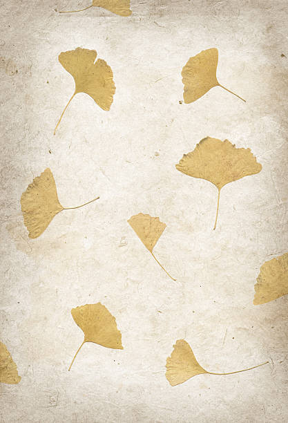 istock Handmade flower petal paper texture 518456505