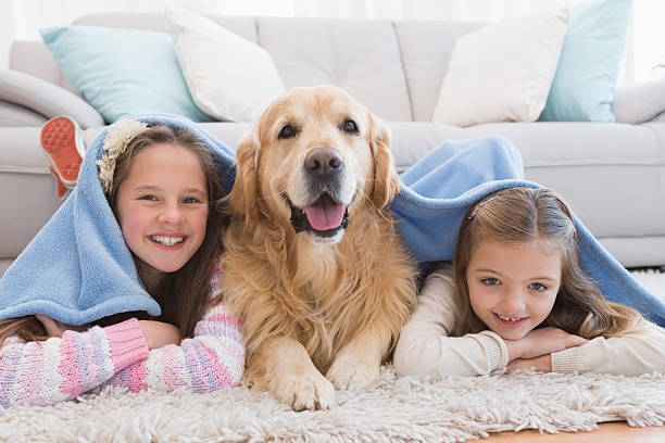 istock Sisters lying on rug with golden retriever under a blanket 518457299