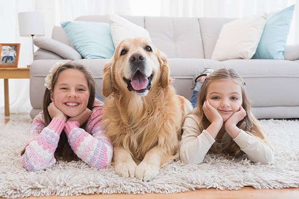 istock Sisters lying on rug with golden retriever smiling at camera 518457307