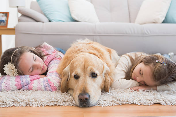 Sisters napping on rug with golden retriever