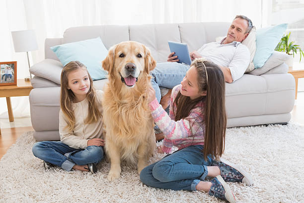 istock Smiling sisters petting their golden retriever 518457357