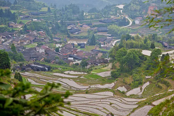 Beautiful water rice terraces with traditional Chinese dwellings and houses, in Lishui, Zhejiang province, China