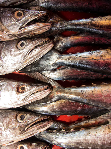 Fresh whole fish exposed to sell in a market in Valdivia, Chile