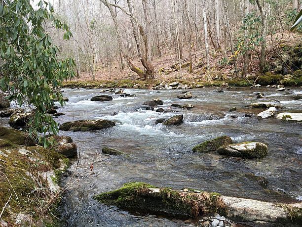 istock Smoky Mountain stream winter 518457926