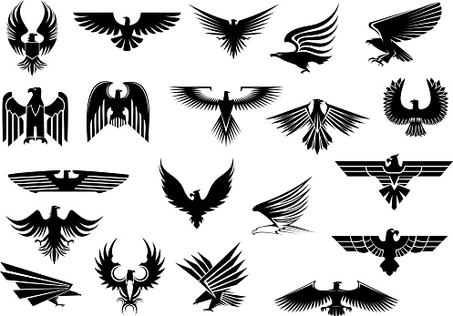 Heraldic black eagles, falcons and hawks set spread wings, isolated on white background