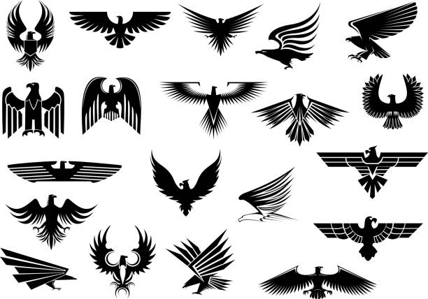 Heraldic eagles, falcons and hawks set Heraldic black eagles, falcons and hawks set spread wings, isolated on white background eagle bird stock illustrations