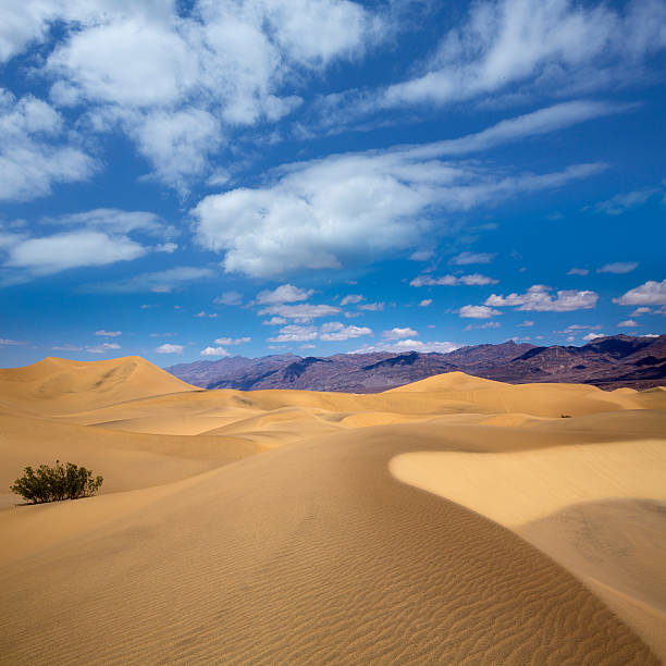 istock Mesquite Dunes desert in Death Valley National Park 518458595