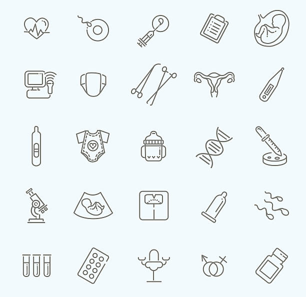 Pregnancy, gynecology, childbirth and motherhood line icons set outline icons fertilized egg stock illustrations