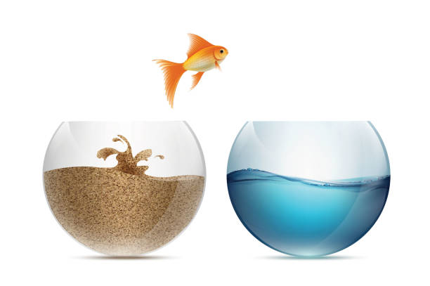 illustrations, cliparts, dessins animés et icônes de poisson d'or sautant de l'aquarium. - fish tank