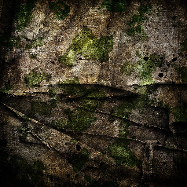 istock Camouflage military background 518461208