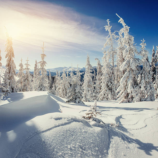 istock Fantastic winter landscape and tree in hoarfrost. 518461226
