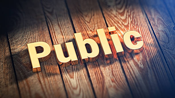 istock Word Public on wood planks 518462152