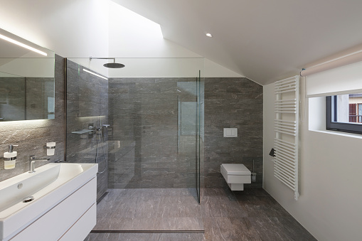 Interior of a house, bathroom modern design