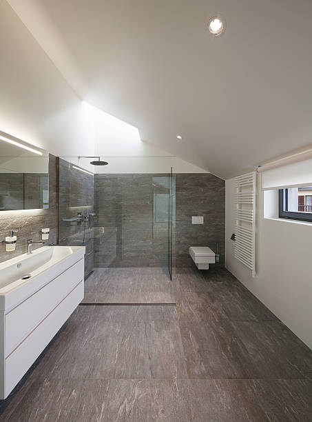 istock Bathroom of a modern house 518464402