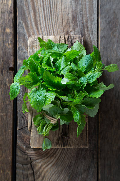bunch of fresh mint on a blackboard