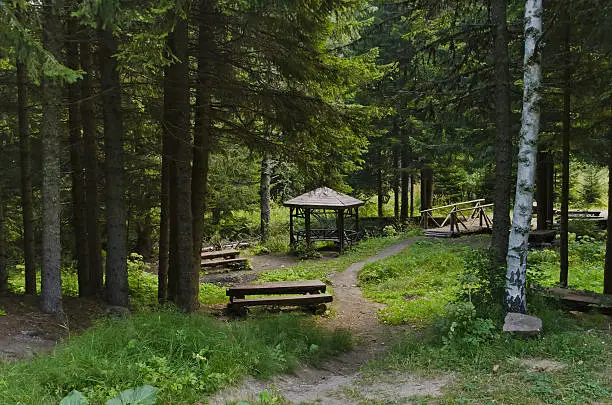 Photo of Beauty nook for respite in the Vitosha mountain