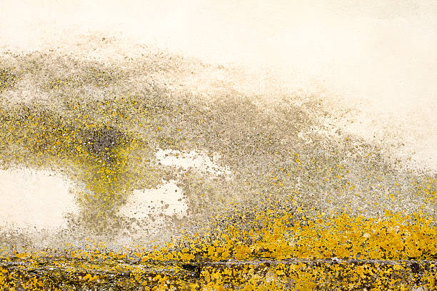istock Old Sicilian Wall Background: Mottled and Mossy 518467765