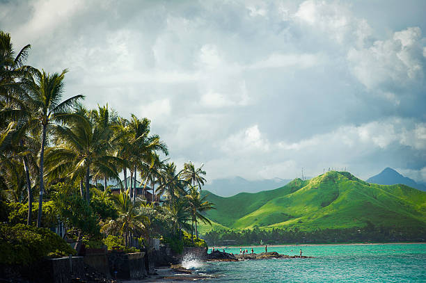 koszula wietrze wybrzeżu oahu, hawaje wakacje - honolulu oahu vacations park zdjęcia i obrazy z banku zdjęć