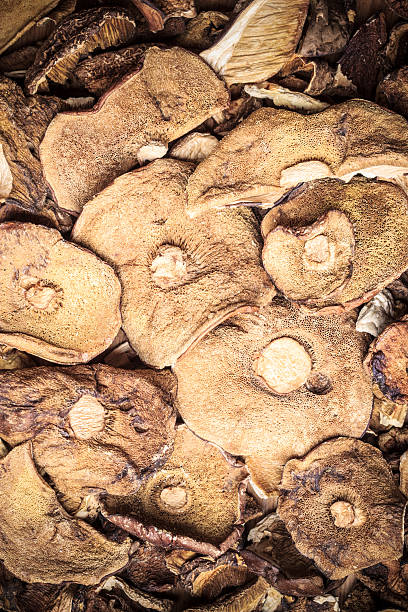 istock Dry mushrooms as food background 518469650