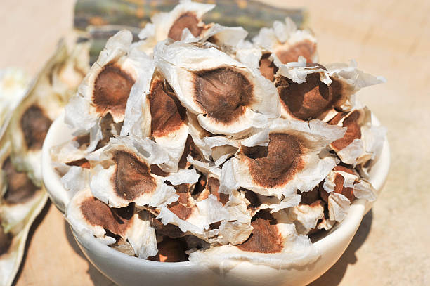 istock Moringa seeds and drumstick in natural light 518471712