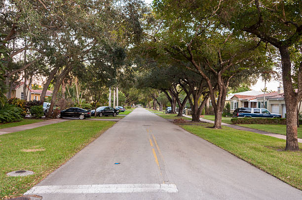 istock Street in Coral Gables 518472001