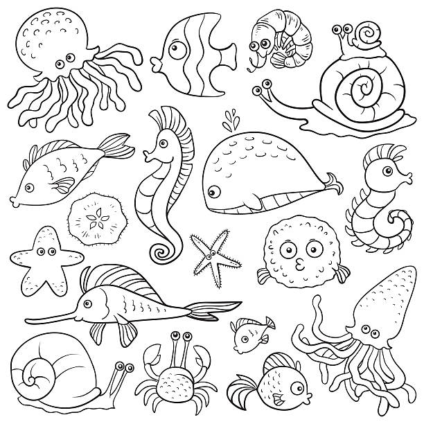 Coloring book (sea life) Coloring book (sea life) kids coloring pages stock illustrations