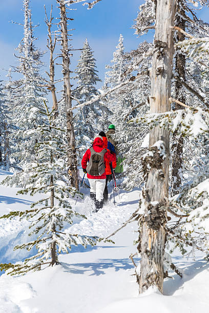 femme marche en raquettes dans le paysage de forêt d'hiver - winter snowshoeing running snowshoe photos et images de collection