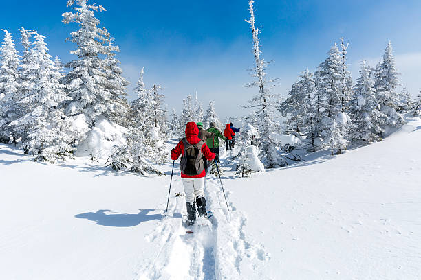 Grupo de pessoas caminhadas com raqueta de neve no inverno floresta - foto de acervo
