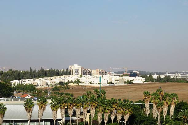 istock Palm trees and buildings 518474585