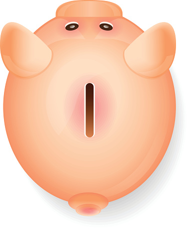 Piggy bank isolated on white-vector illustration