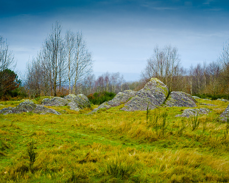 Broceliande Forest. Paimpont, Brittany, France