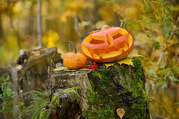 istock Halloween scary pumpkin in autumn forest 518481209