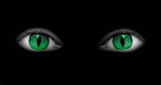 Beautiful yellow-green eye of a red cat