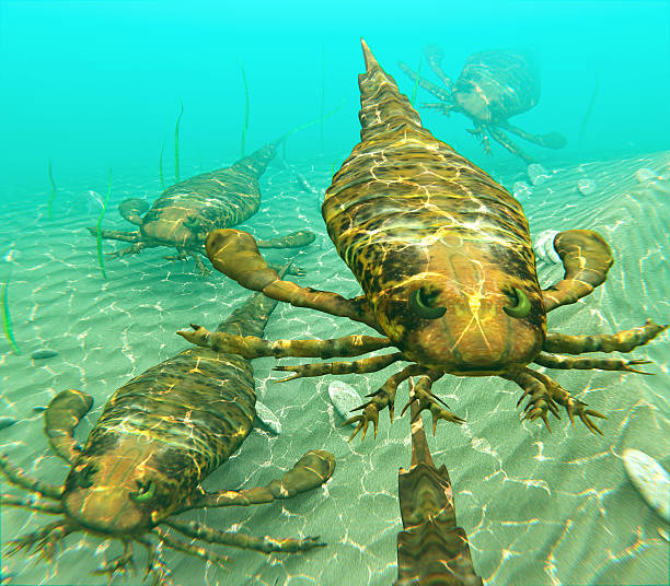 eurypterids natación en un paquete - ordoviciense ilustraciones fotografías e imágenes de stock