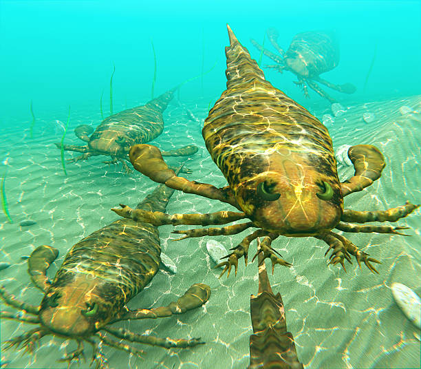 Eurypterids Swimming In A Pack stock photo