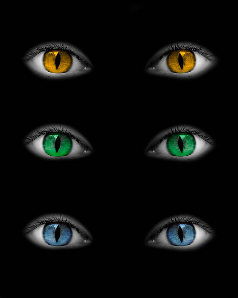 catwoman ojos aislado sobre fondo negro - eyeball human eye animal eye bizarre fotografías e imágenes de stock