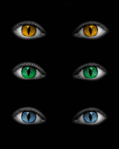 Cat's Eyeball and Iris