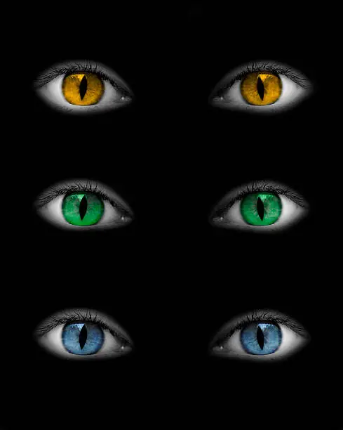 Catwoman eyes isolated on black background