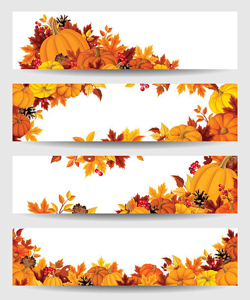 illustrations, cliparts, dessins animés et icônes de vecteur des bannières avec de l'orange et feuilles d'automne-dessus de citrouilles. - citrouille