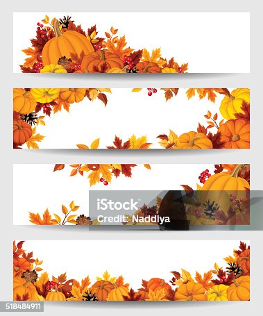 istock Vector banners with orange pumpkins and autumn leaves. 518484911