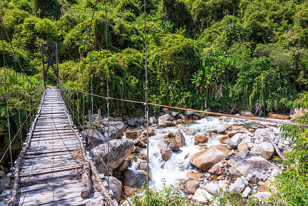 istock Suspension Bridge in Jungle 518486937