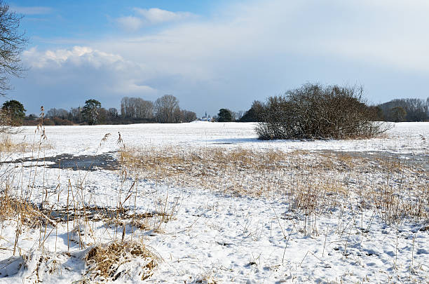 istock Water meadow under the light snow 518496797